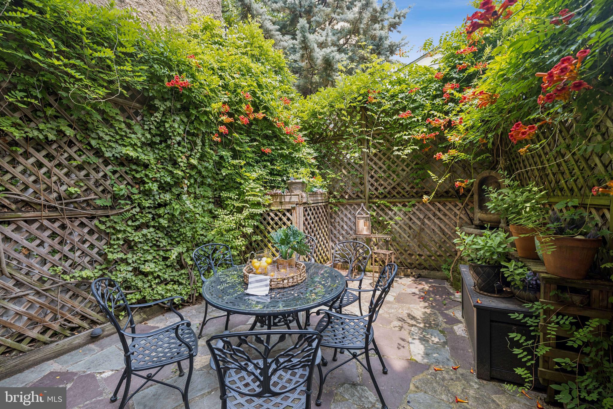 1827 Phelps Place Northwest Washington, DC 20008 - Photo 13 of 38