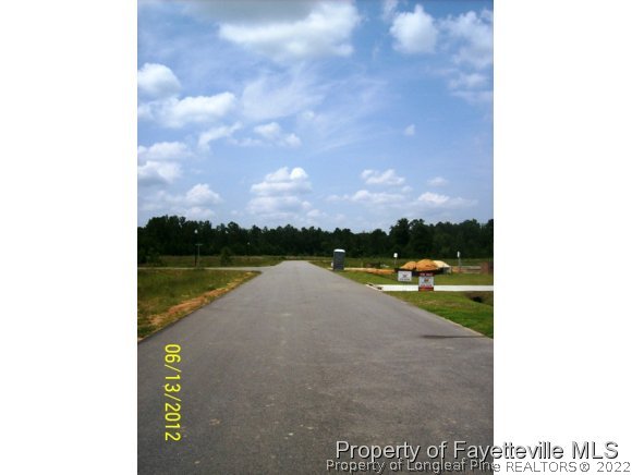 924 Raspberry Road, Unit 92 Stedman, NC 28391 - Photo 4 of 15 Gallery Image 4