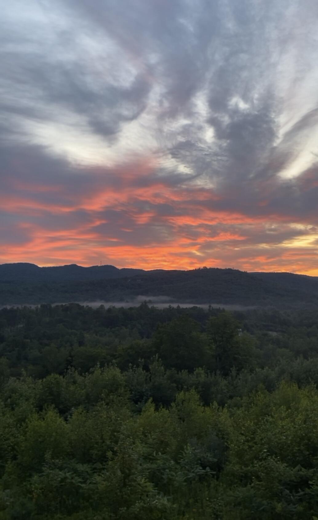 1882 N Road Cornish, ME 04020 - Photo 12 of 17 IMG_5831