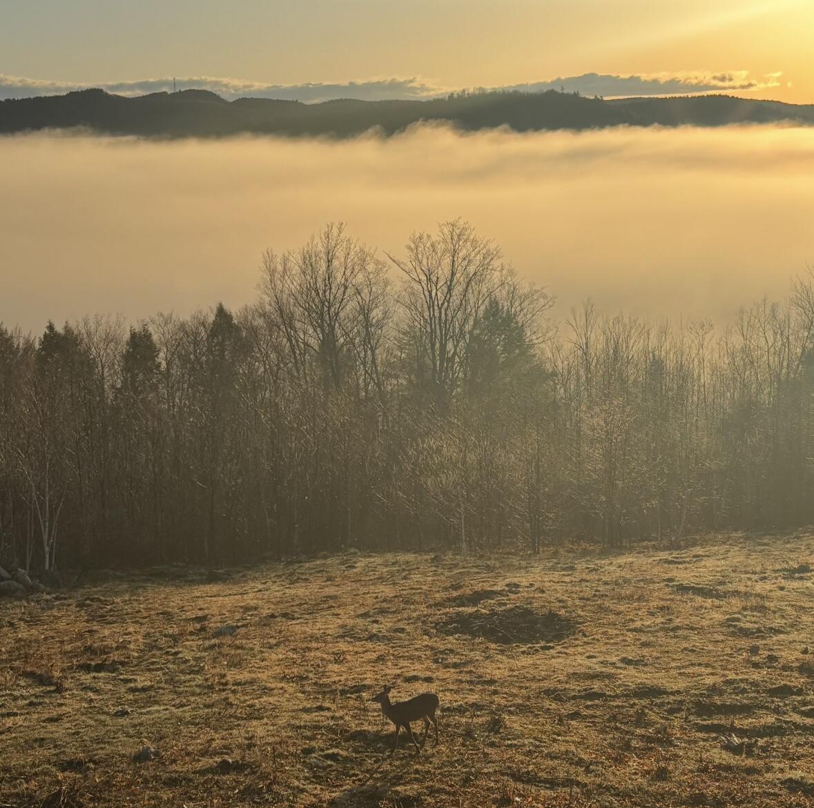 1882 N Road Cornish, ME 04020 - Photo 9 of 17 IMG_5817