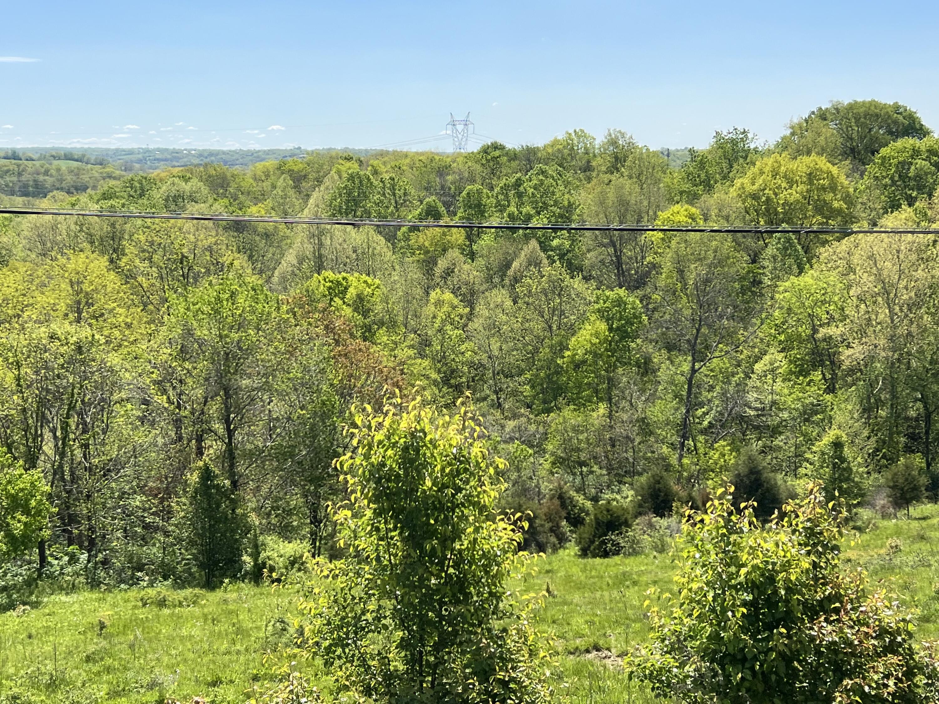 10818 Elizaville Road Ewing, KY 41039 - Photo 11 of 56 21ECED83-1693-4DCE-B2F4-C0A12059EDF7