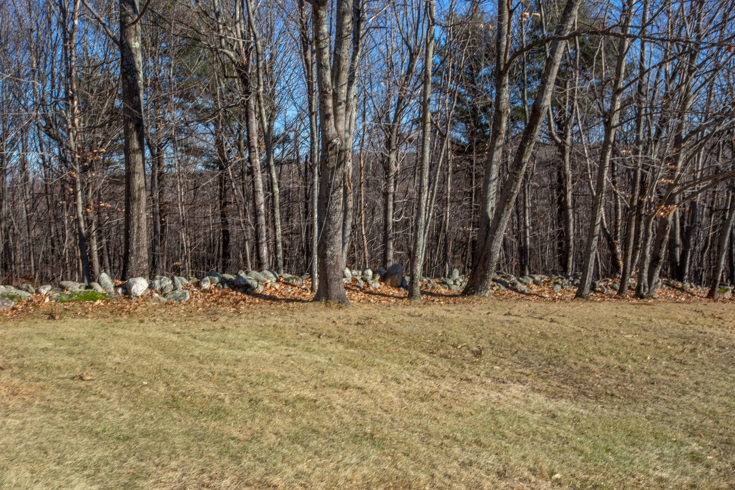 673 Brighton Hill Road Minot, ME 04258 - Photo 73 of 93 Brighton_MLS Letourneau_77