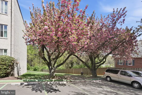 a view of a yard with a house and a trees