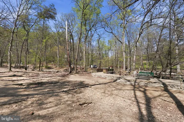 a view of a yard with a tree