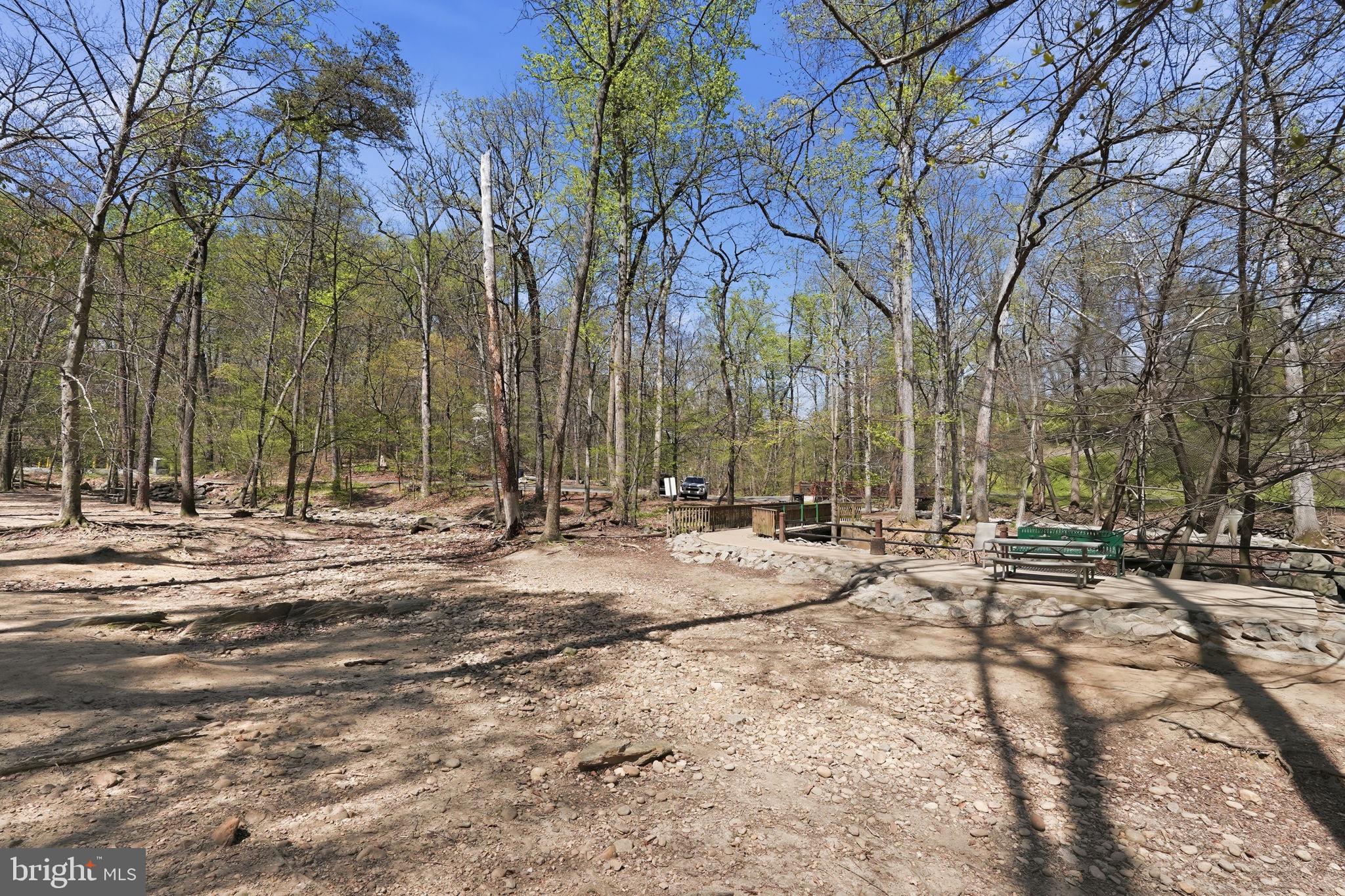 5017 7th Road South, Unit 102 Arlington, VA 22204 - Photo 31 of 40 a view of a yard with a tree