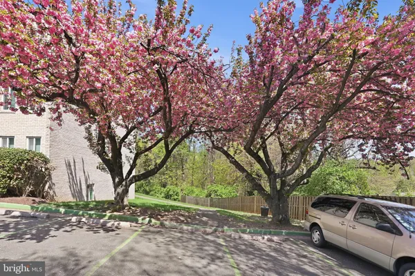 a view of a yard with car parked