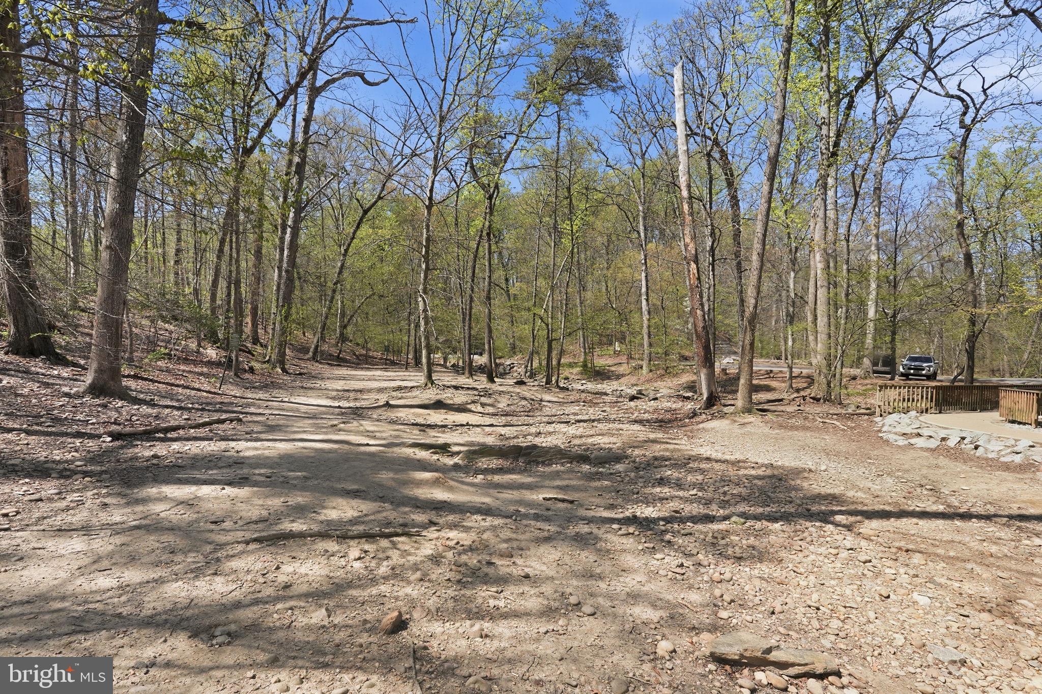 5017 7th Road South, Unit 102 Arlington, VA 22204 - Photo 34 of 40 a view of outdoor space with trees