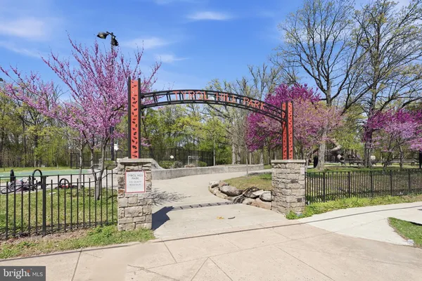 a view of a park with large trees