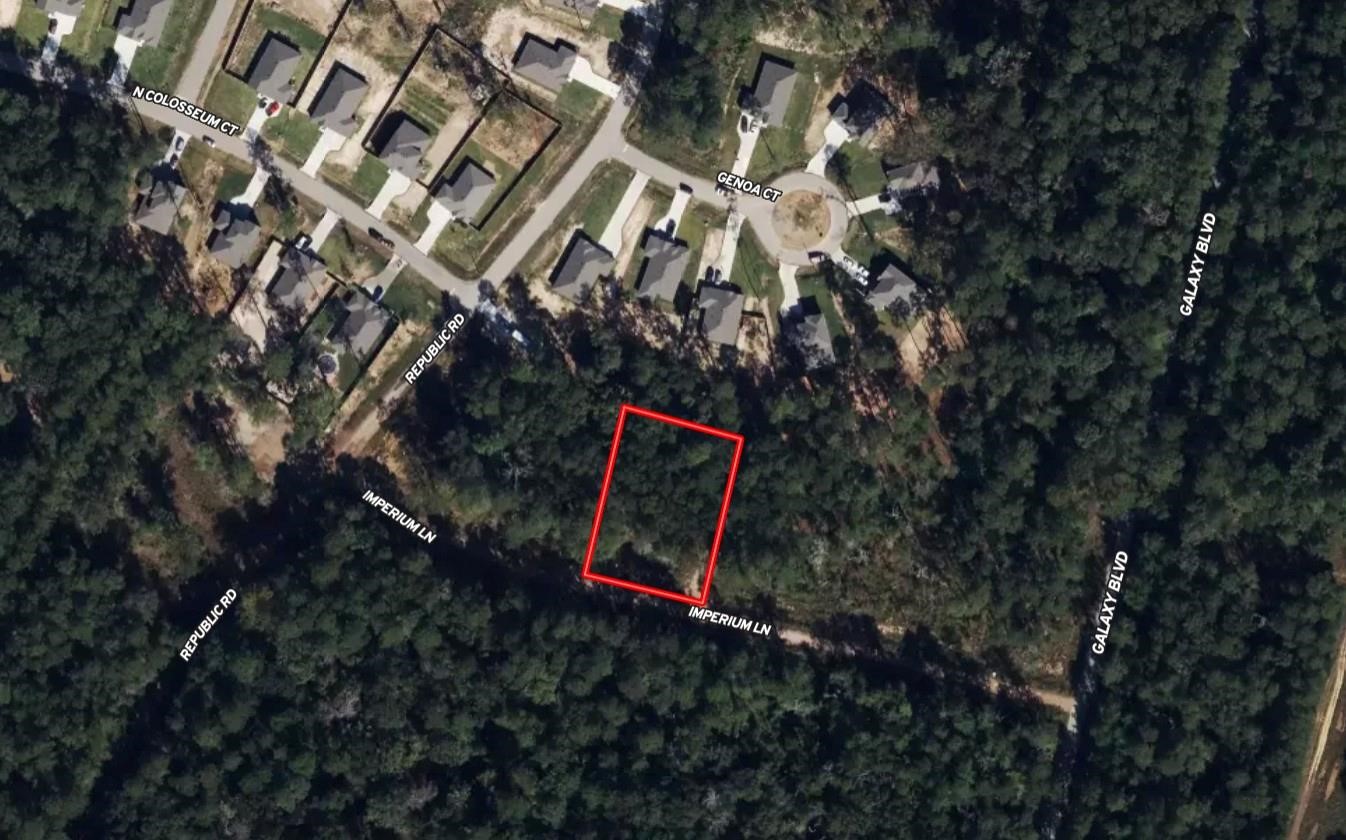 Lot 3 Imperium New Caney, TX 77357 - Photo 2 of 3 a flag is sitting in the middle of a forest