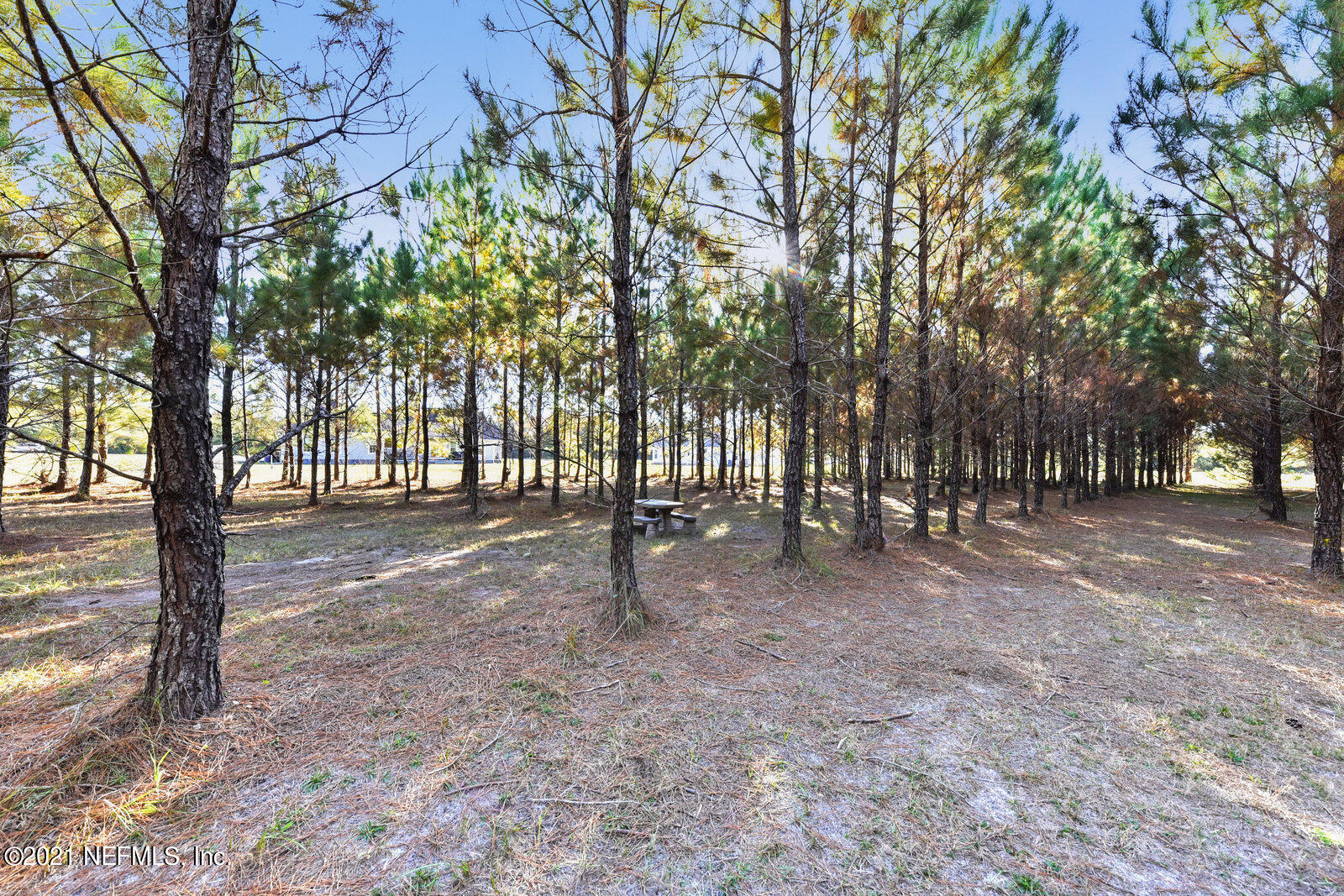 37100 Old Pineridge Road Hilliard, FL 32046 - Photo 31 of 33 031_1600x1067_mls