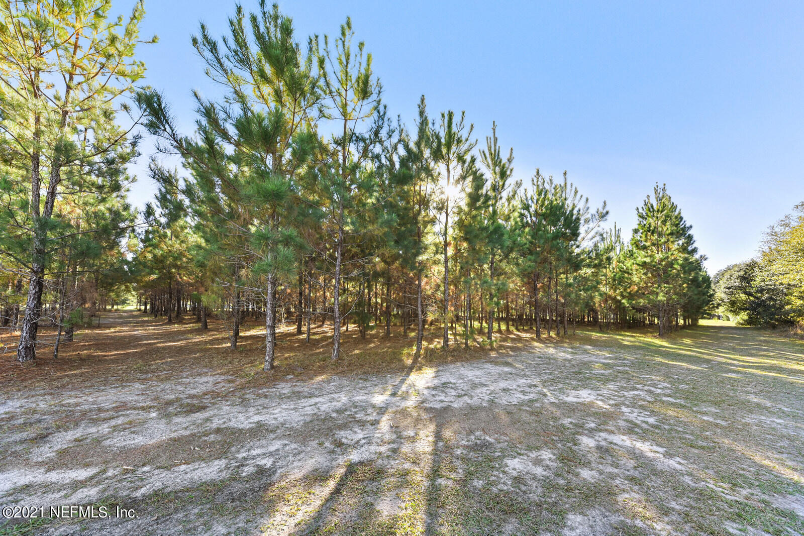 37100 Old Pineridge Road Hilliard, FL 32046 - Photo 32 of 33 032_1600x1067_mls
