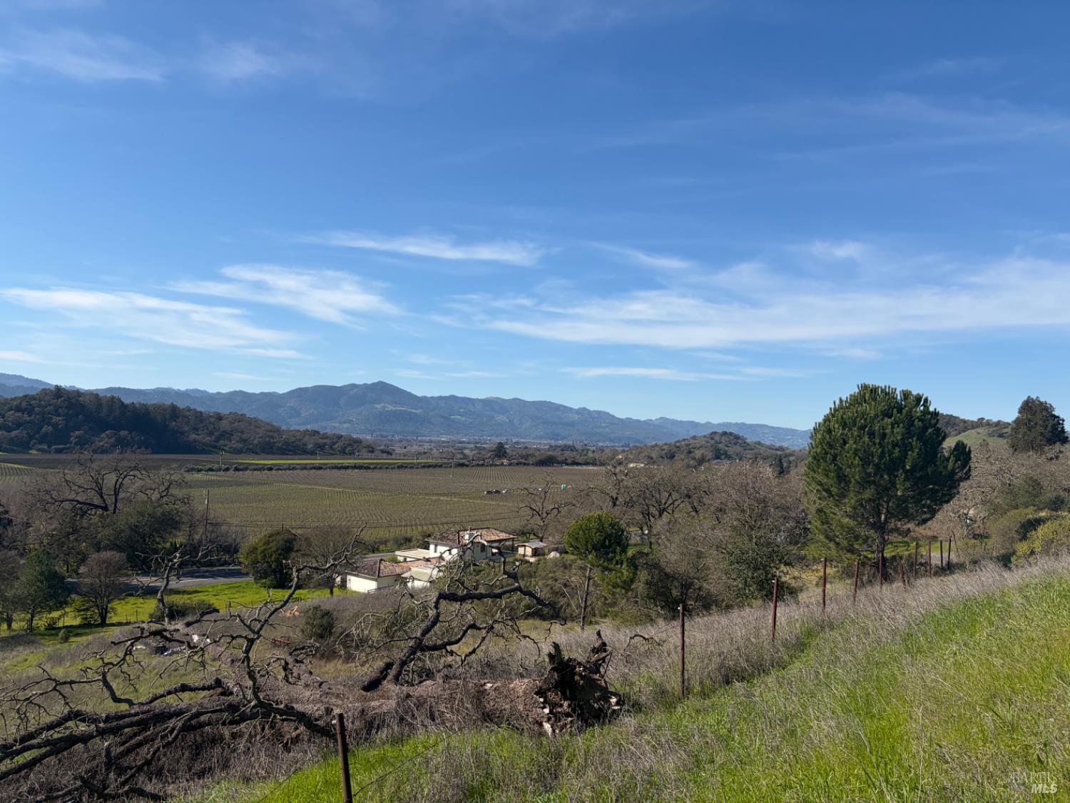 0 Silverado Trail Napa, CA 94558 - Photo 4 of 6