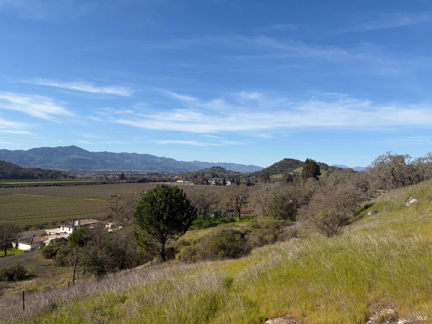 0 Silverado Trail Napa, CA 94558 - Photo 5 of 6