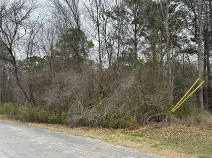 $10,000 | 2 Clearwater Circle, Coldspring, TX 77331