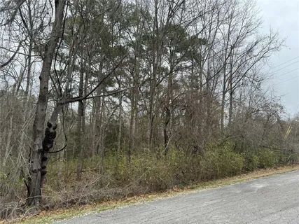 $10,000 | 2 Clearwater Circle, Coldspring, TX 77331