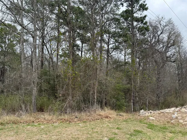 a view of a yard with a tree