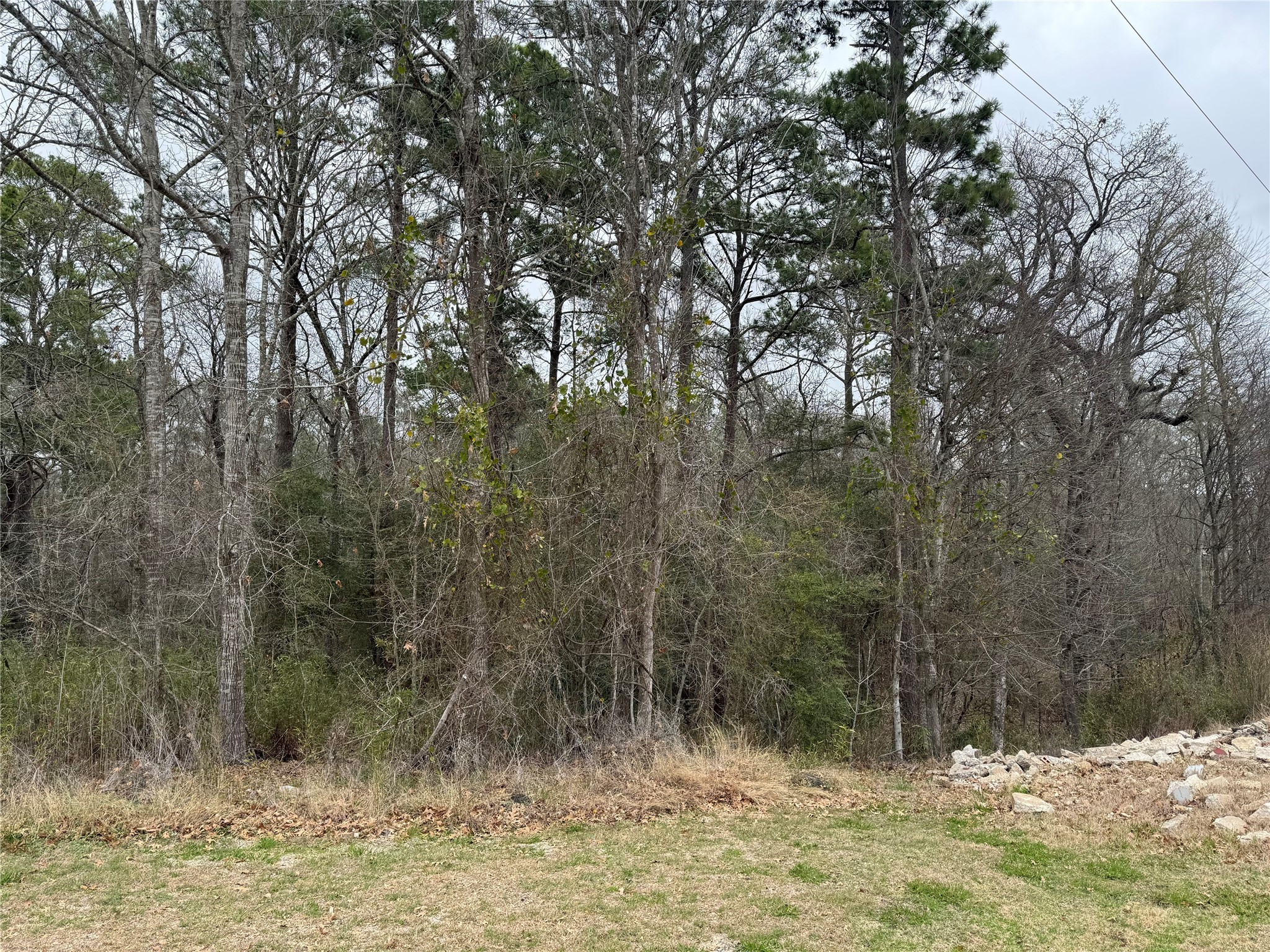 2 Clearwater Circle Coldspring, TX 77331 - Photo 4 of 14 a view of a yard with a tree