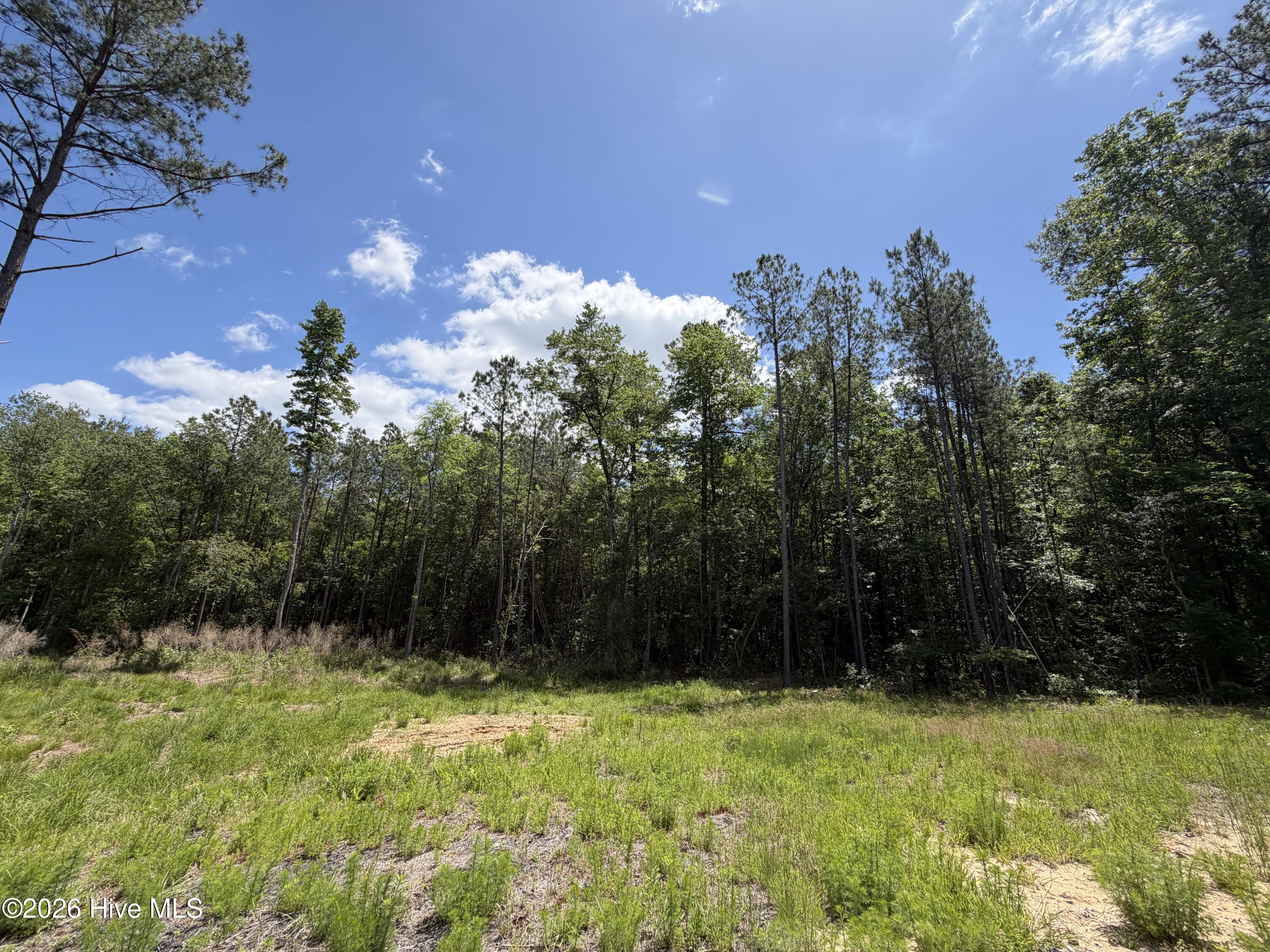 979 Aiken Road Vass, NC 28394 - Photo 18 of 26 979 Aiken Rd 18