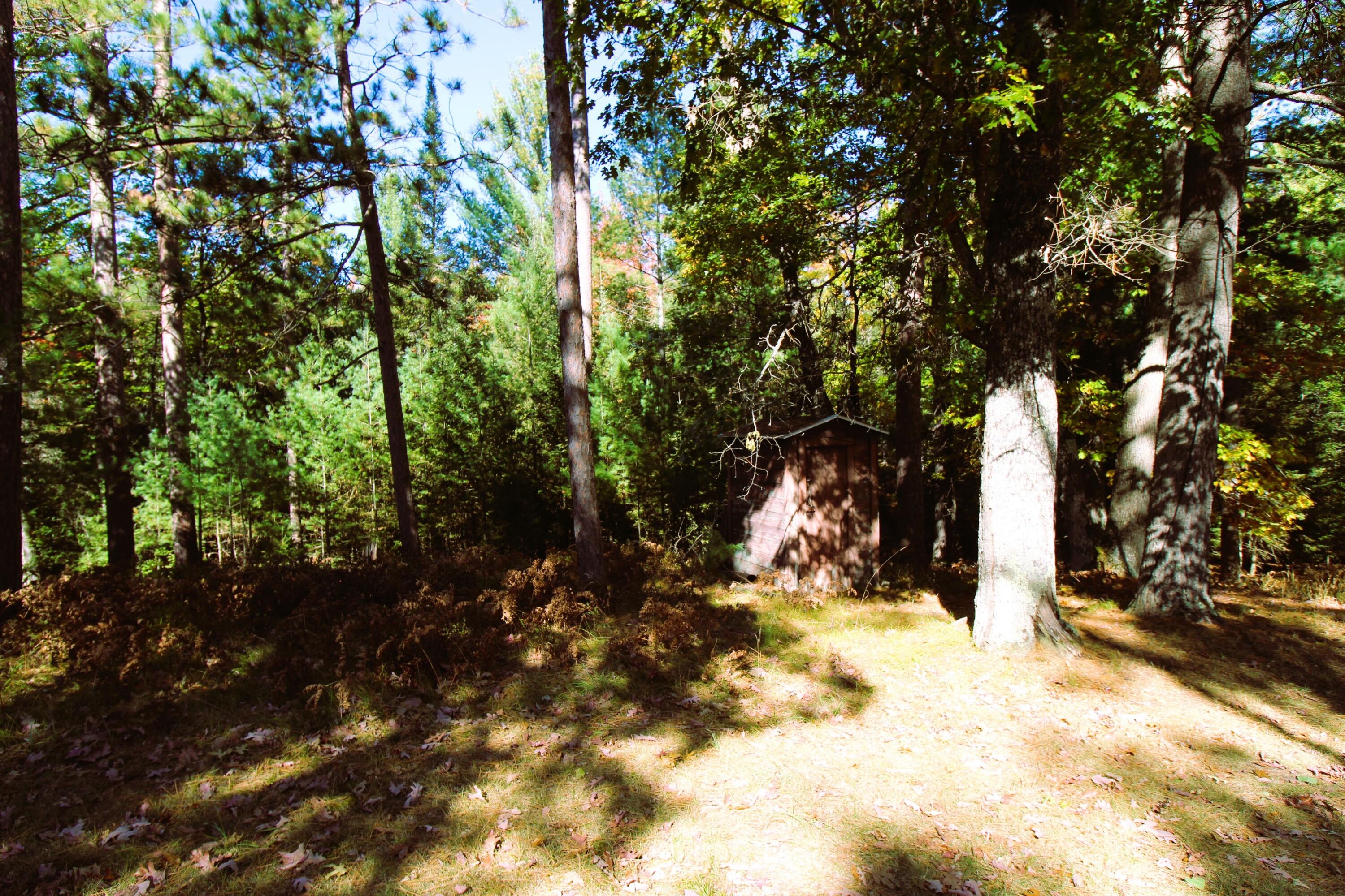 8172 Conners Flat Road Grayling, MI 49738 - Photo 25 of 46 Gallery Image 25