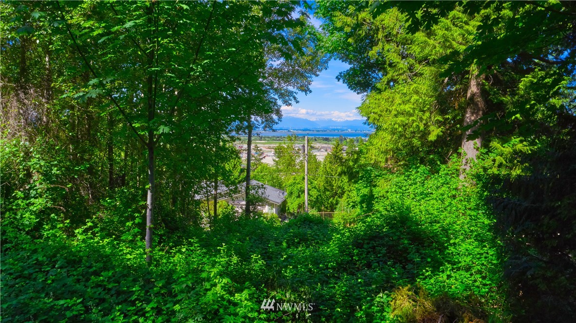 1904 Province Road Point Roberts, WA 98281 - Photo 8 of 36