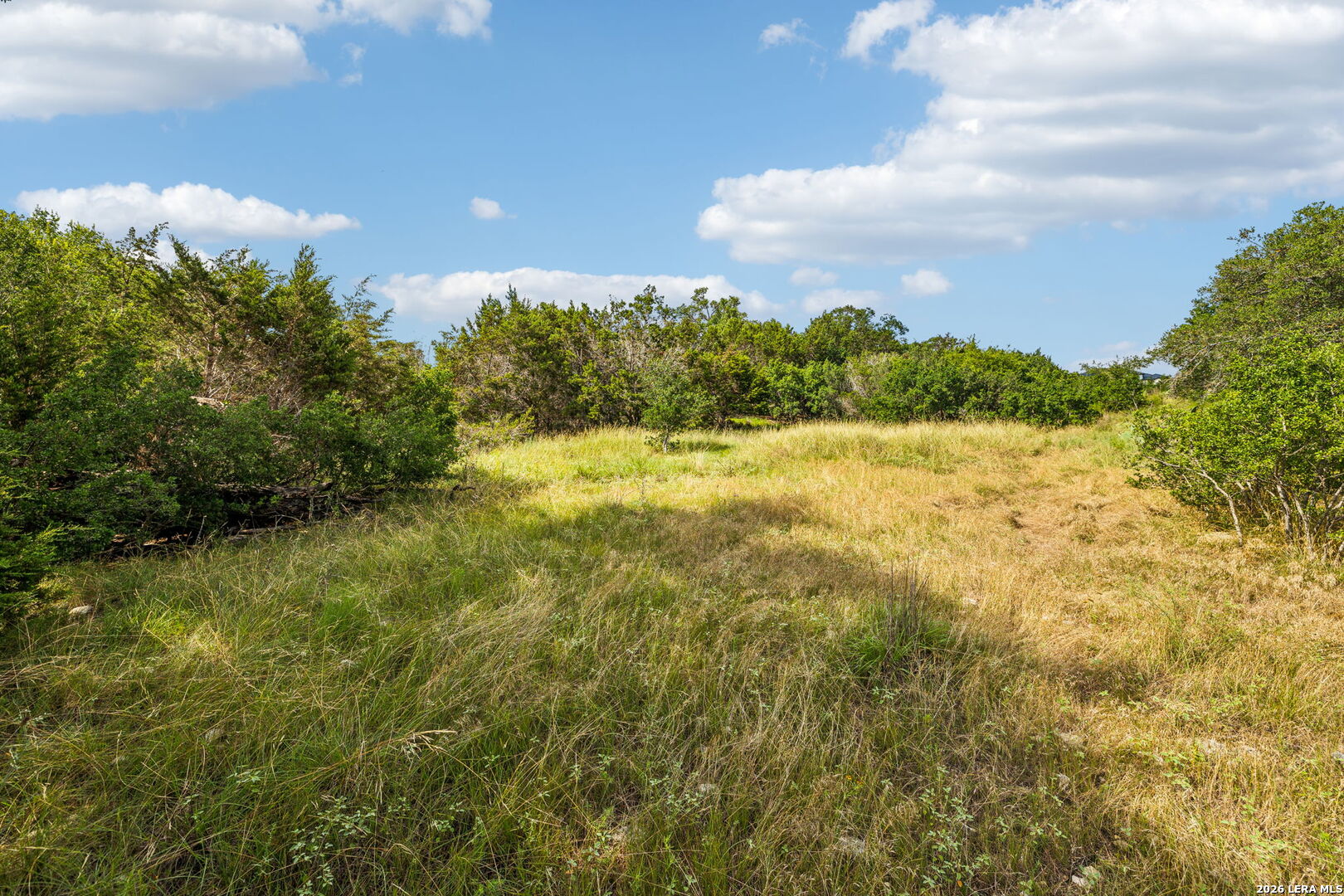 155 Obscure Way Spring Branch, TX 78070 - Photo 22 of 25