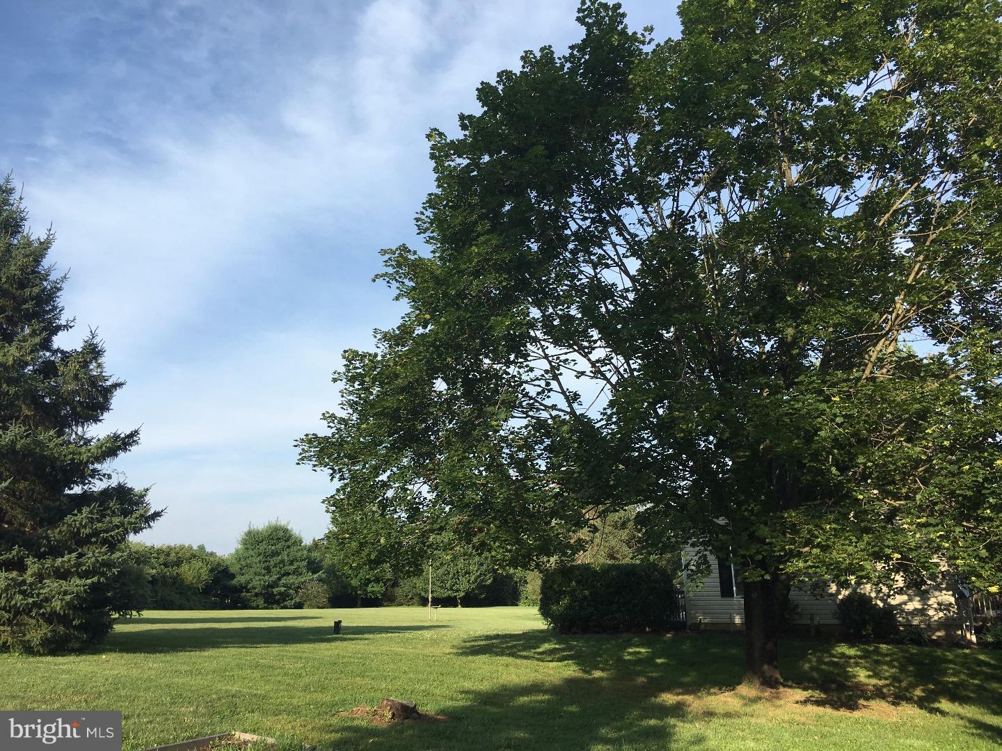 310 Moore Road Downingtown, PA 19335 - Photo 21 of 23 View in Back