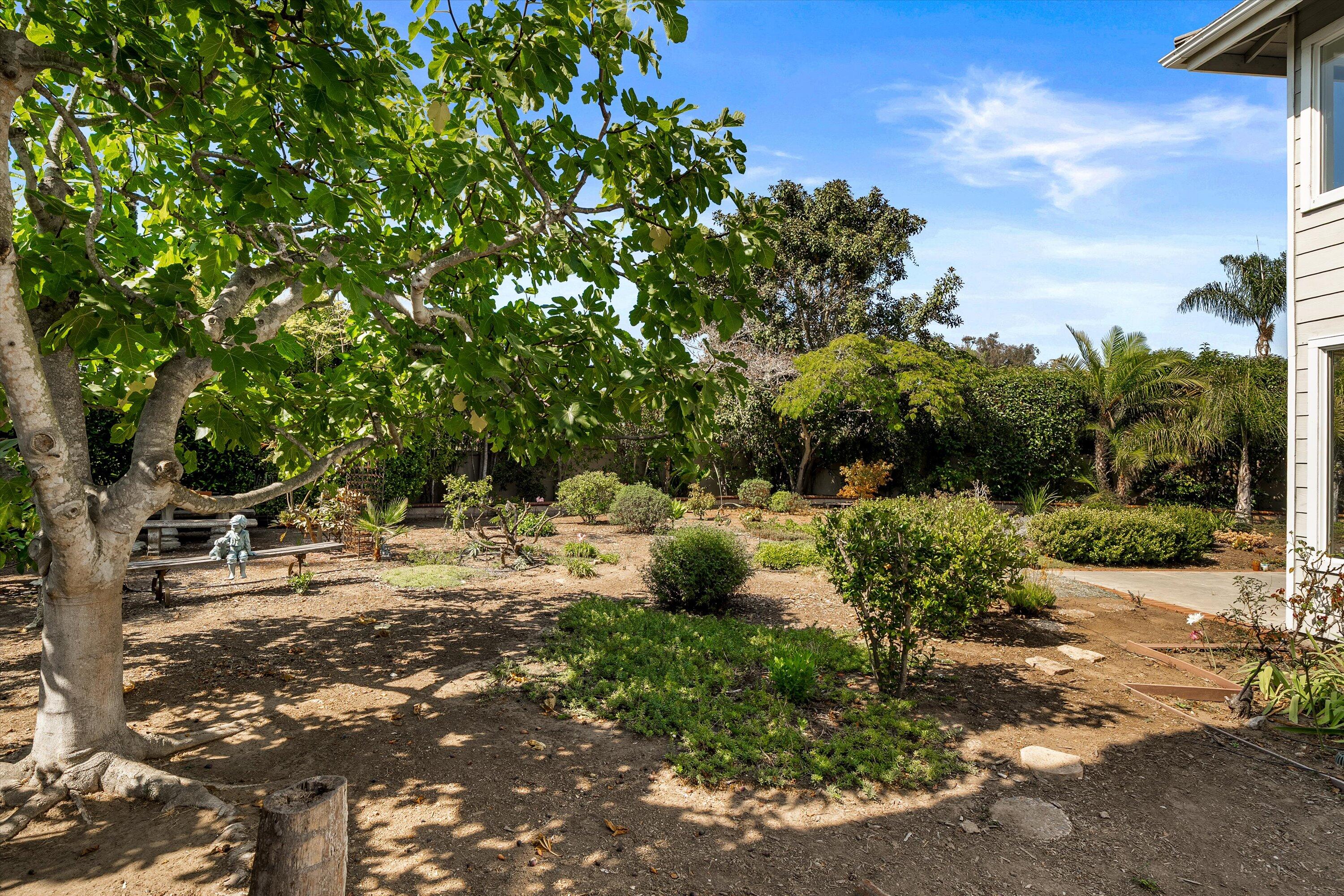 458 Greenleaf Court Goleta, CA 93117 - Photo 23 of 34 a view of backyard with a barn