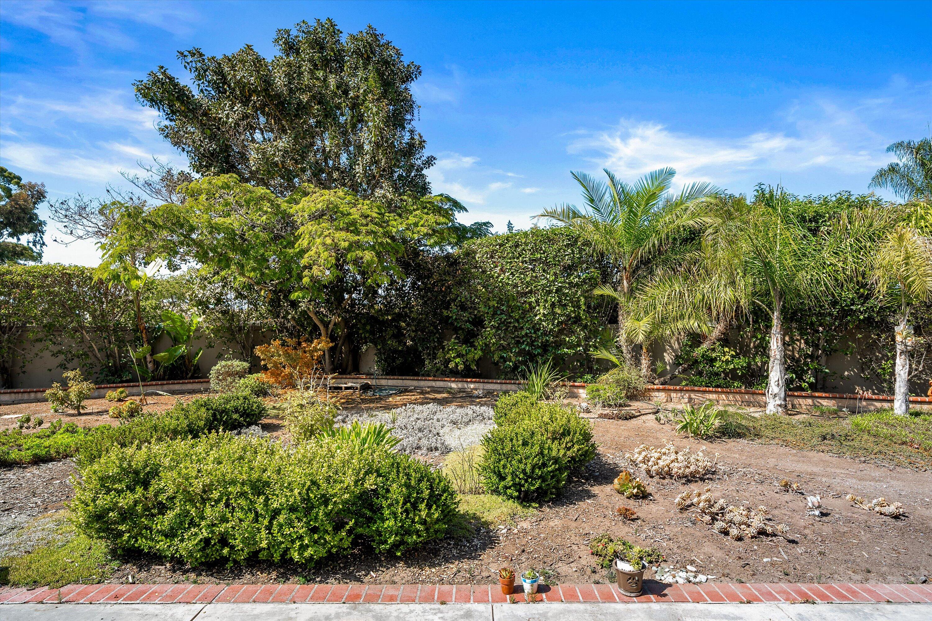 458 Greenleaf Court Goleta, CA 93117 - Photo 27 of 34 a view of a yard with plants