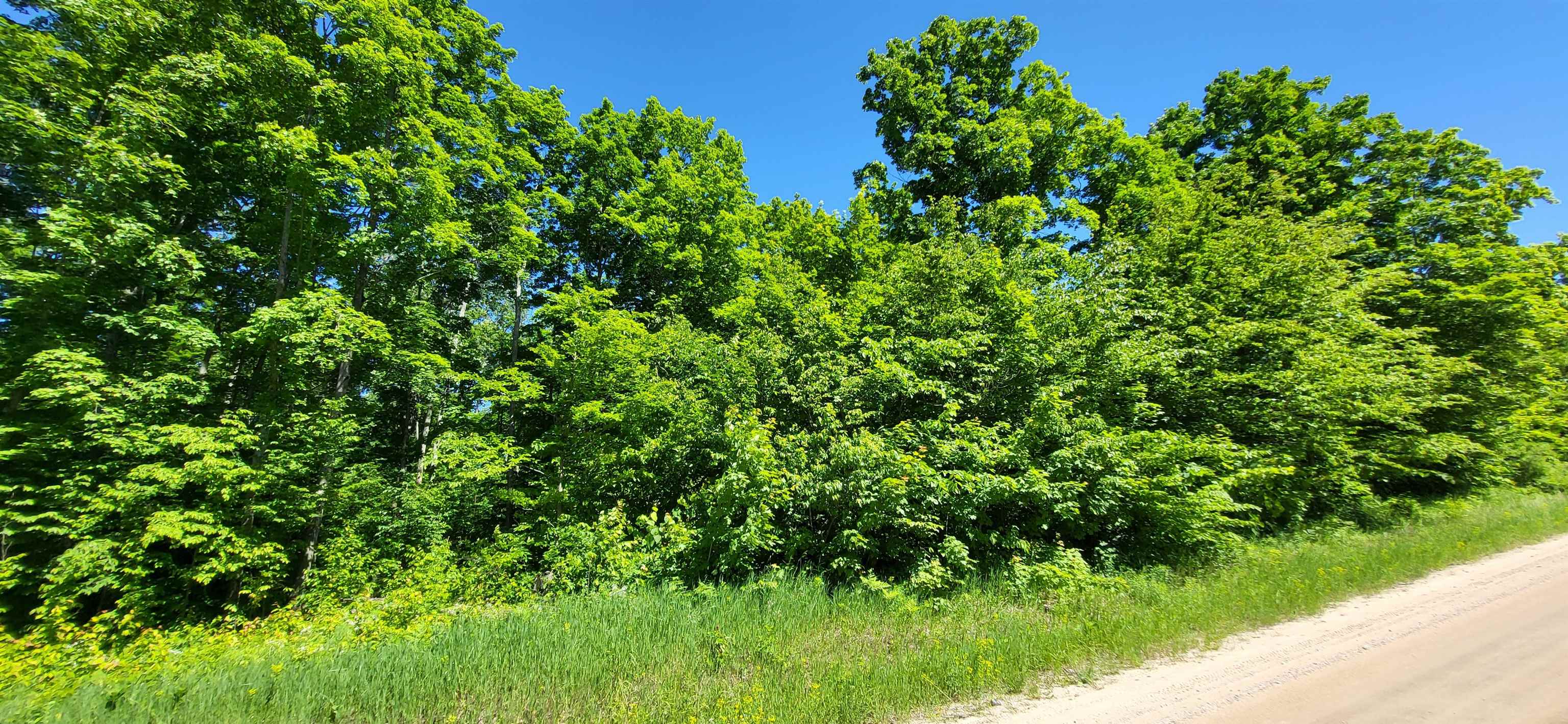 Tbd Bocook Road Mancelona, MI 49659 - Photo 19 of 46