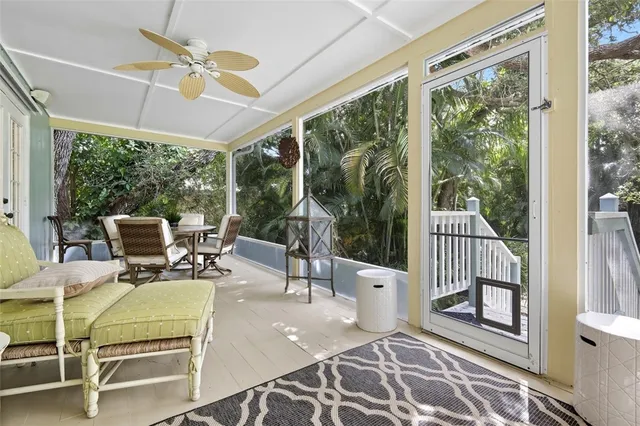 a view of a garden with plants