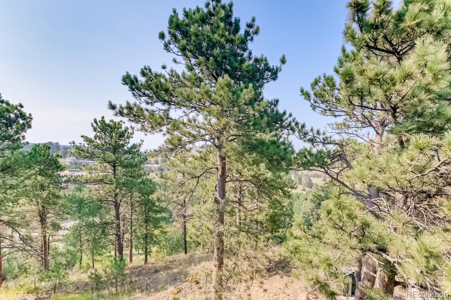 869 Hill And Dale Road, Unit D Golden, CO 80401 - Photo 26 of 27 a view of a plants