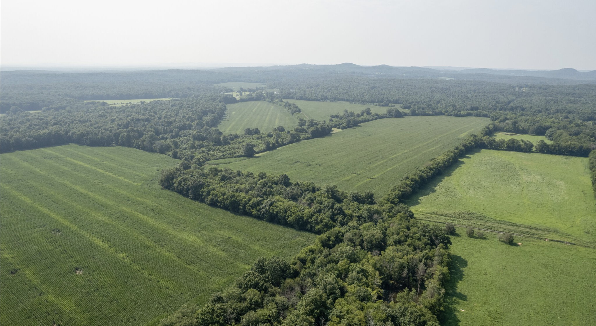 3008 Luke Moser Road Columbia, TN 38401 - Photo 37 of 44