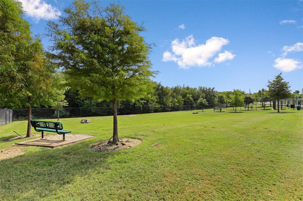 1721 Shoebill Drive Little Elm, TX 75068 - Photo 16 of 17