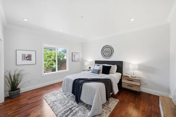 a view of a yard with plants and large trees