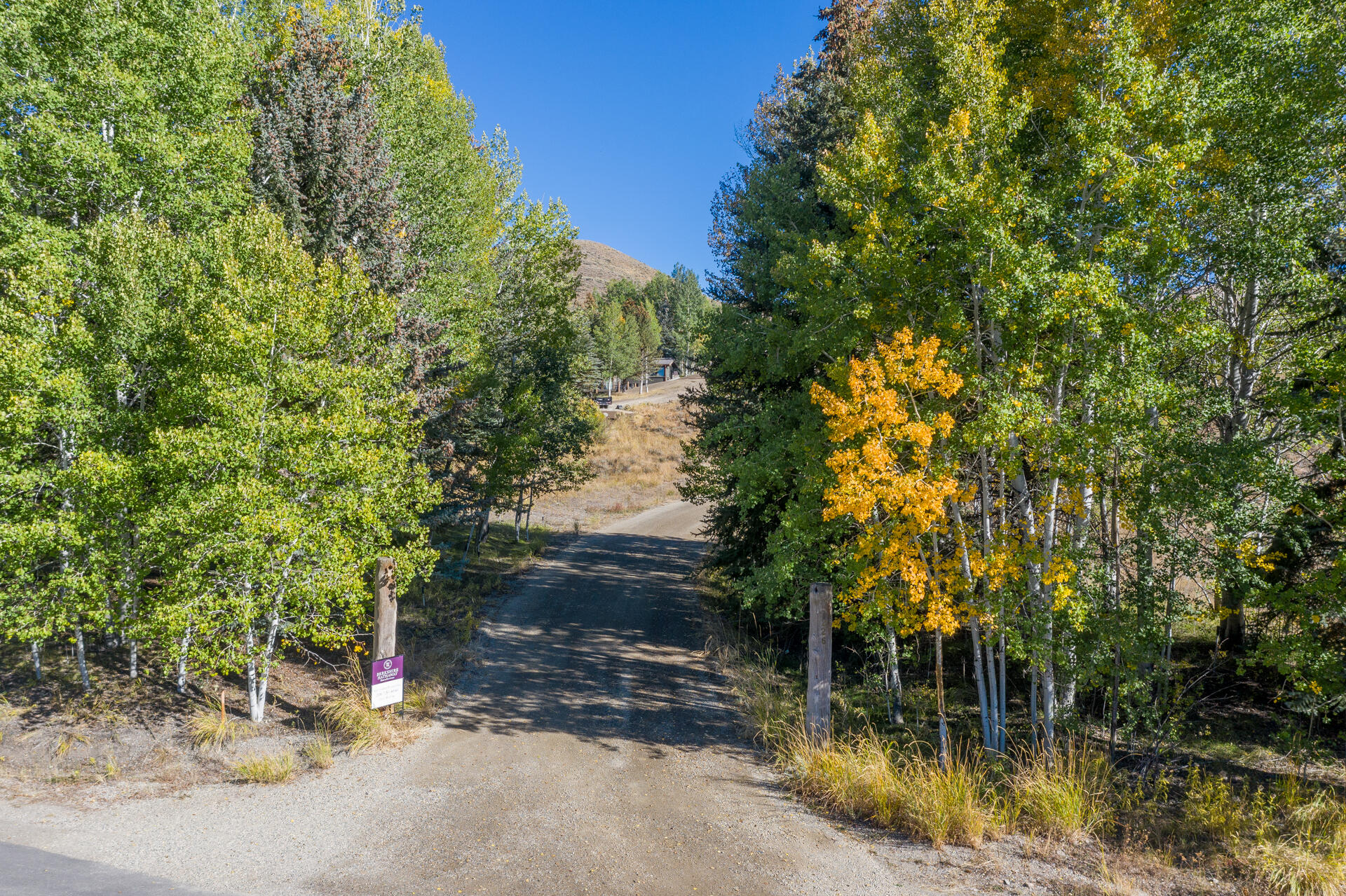 226 Blue Bell Road Sun Valley, ID 83353 - Photo 2 of 39 DJI_0886