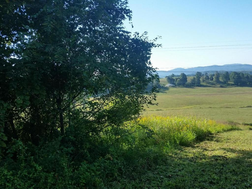 Lot 47 Strawberry Point, Unit 47 Bean Station, TN 37708 - Photo 20 of 20 Photo 20