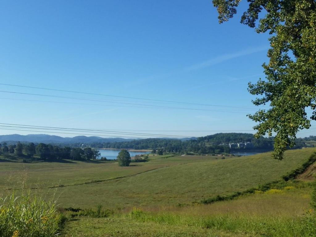 Lot 47 Strawberry Point, Unit 47 Bean Station, TN 37708 - Photo 4 of 20 Photo 4
