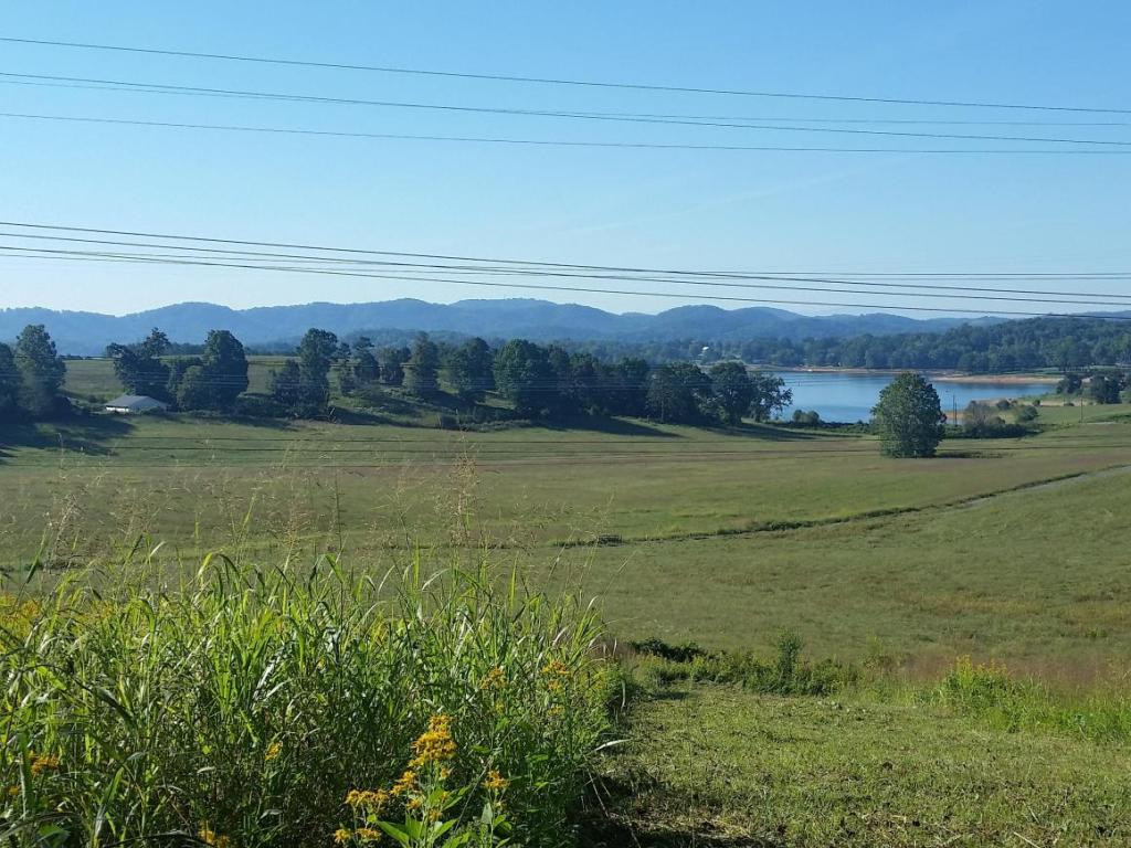 Lot 47 Strawberry Point, Unit 47 Bean Station, TN 37708 - Photo 6 of 20 Photo 6