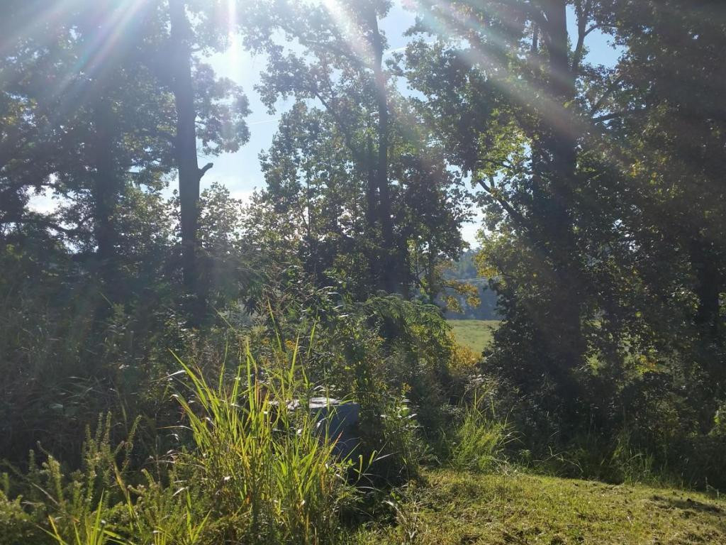 Lot 47 Strawberry Point, Unit 47 Bean Station, TN 37708 - Photo 8 of 20 Photo 8