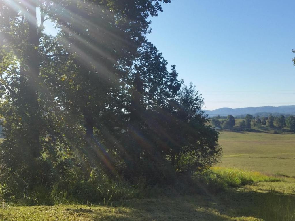 Lot 47 Strawberry Point, Unit 47 Bean Station, TN 37708 - Photo 9 of 20 Photo 9