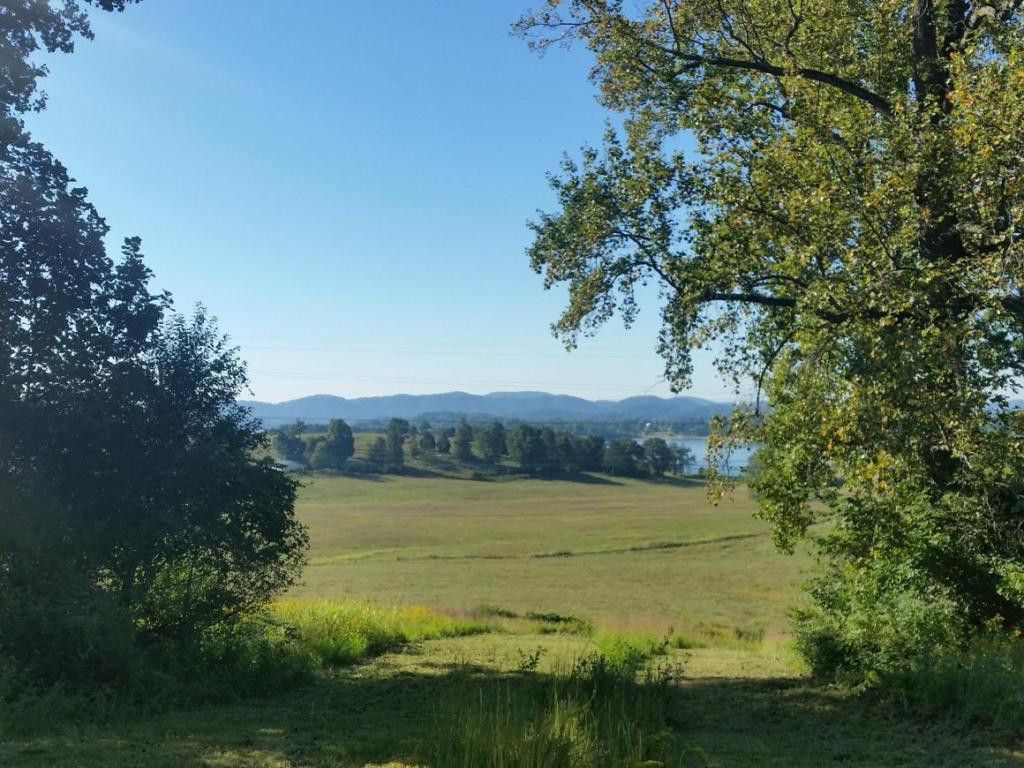 Lot 47 Strawberry Point, Unit 47 Bean Station, TN 37708 - Photo 10 of 20 Photo 10