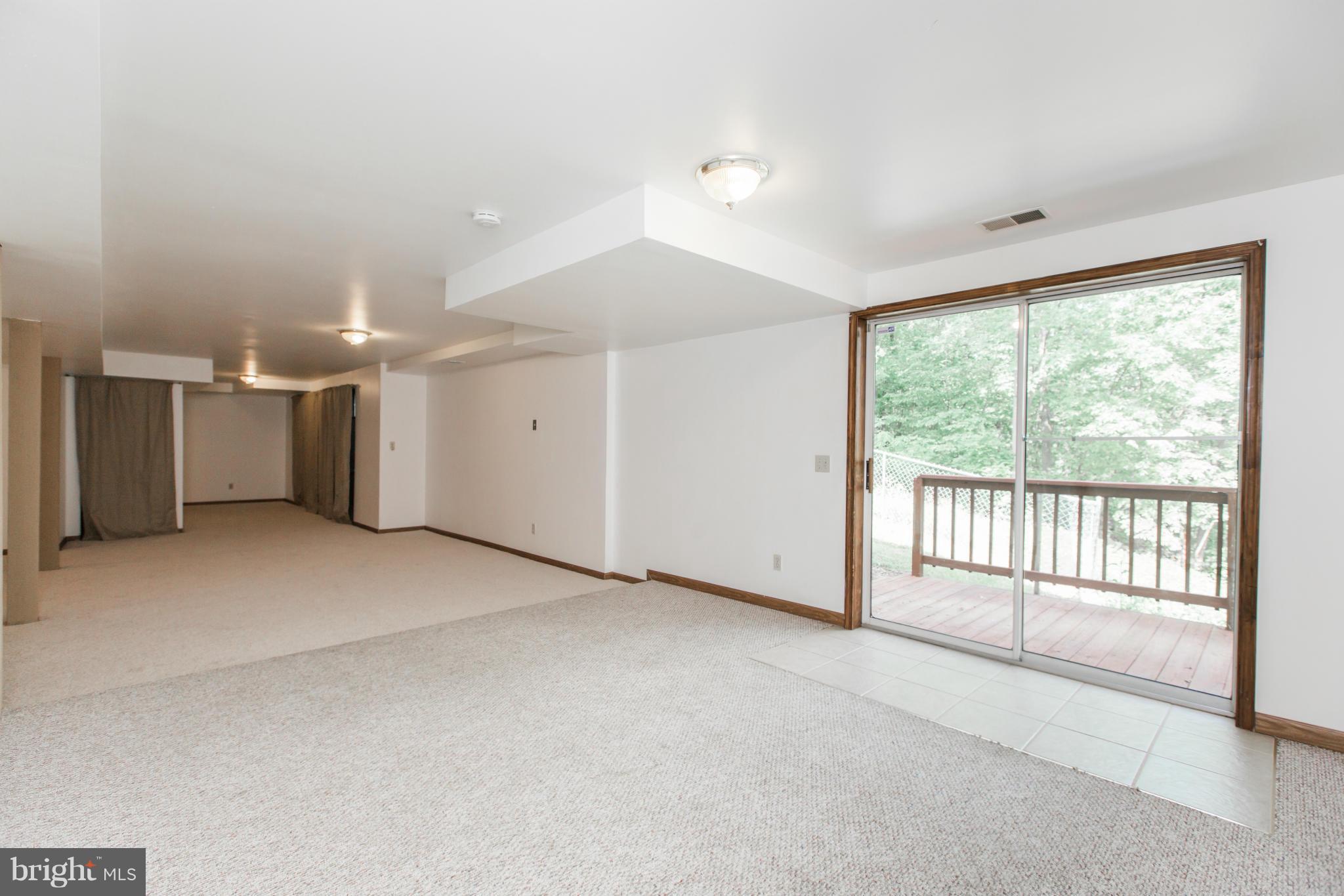 111 Dots Way Winchester, VA 22602 - Photo 21 of 29 Basement