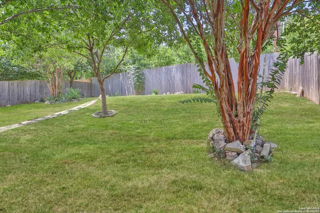 a backyard of a house with lots of plants and large tree