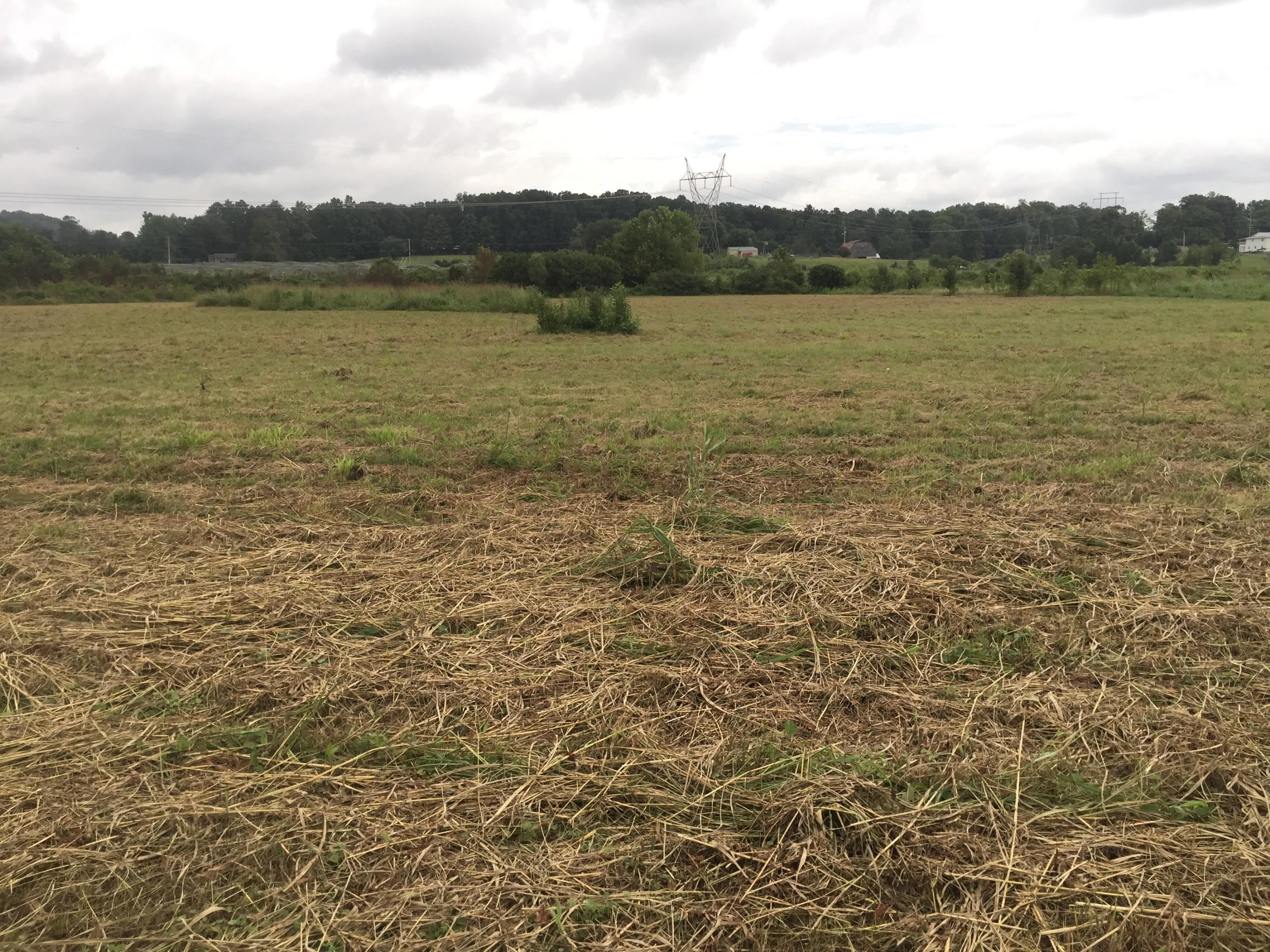 0 Southwest Harris Creek Road Cleveland, TN 37353 - Photo 6 of 13 image