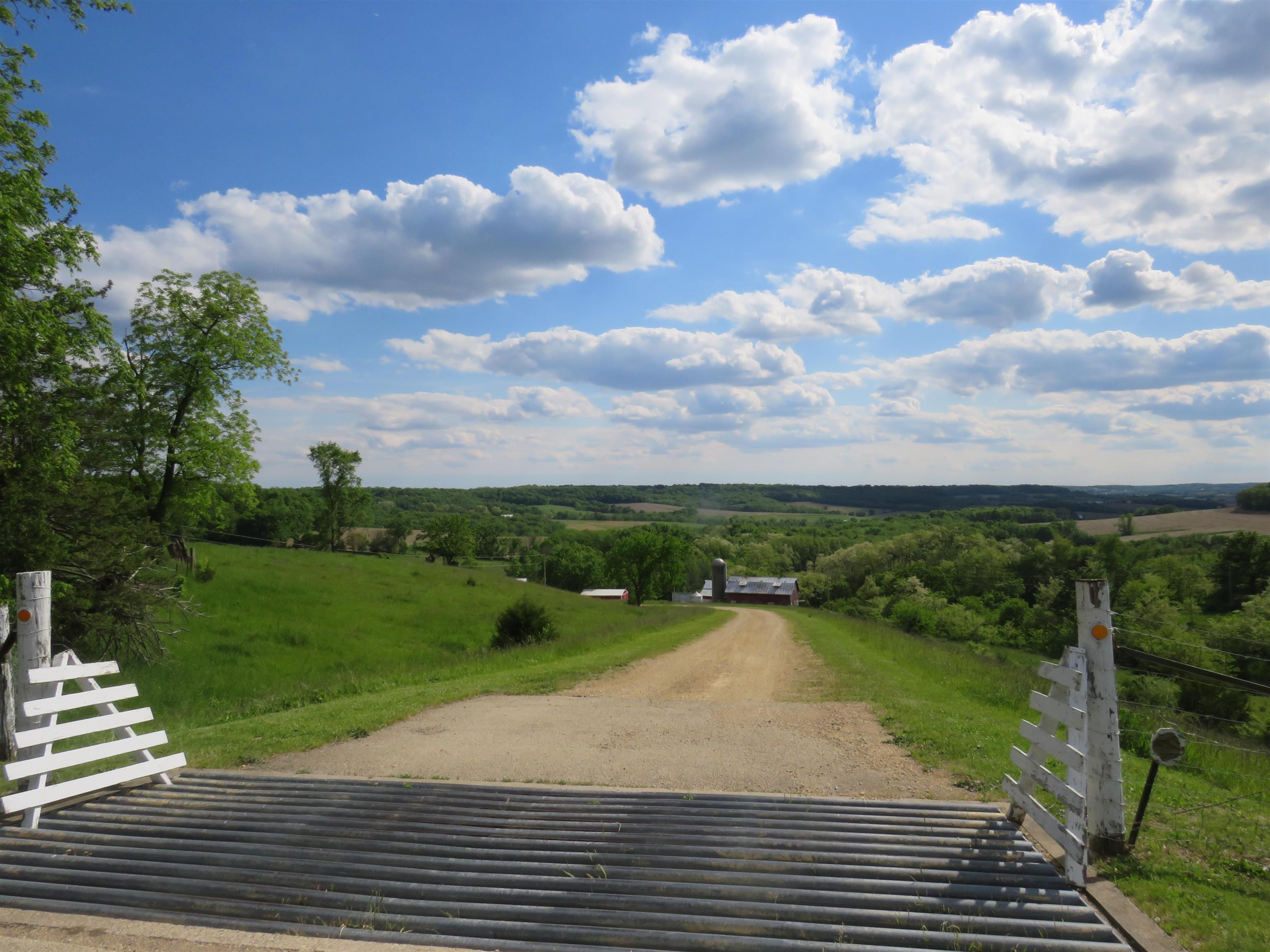 1139 Highway 20 Elizabeth, IL 61028 - Photo 3 of 88