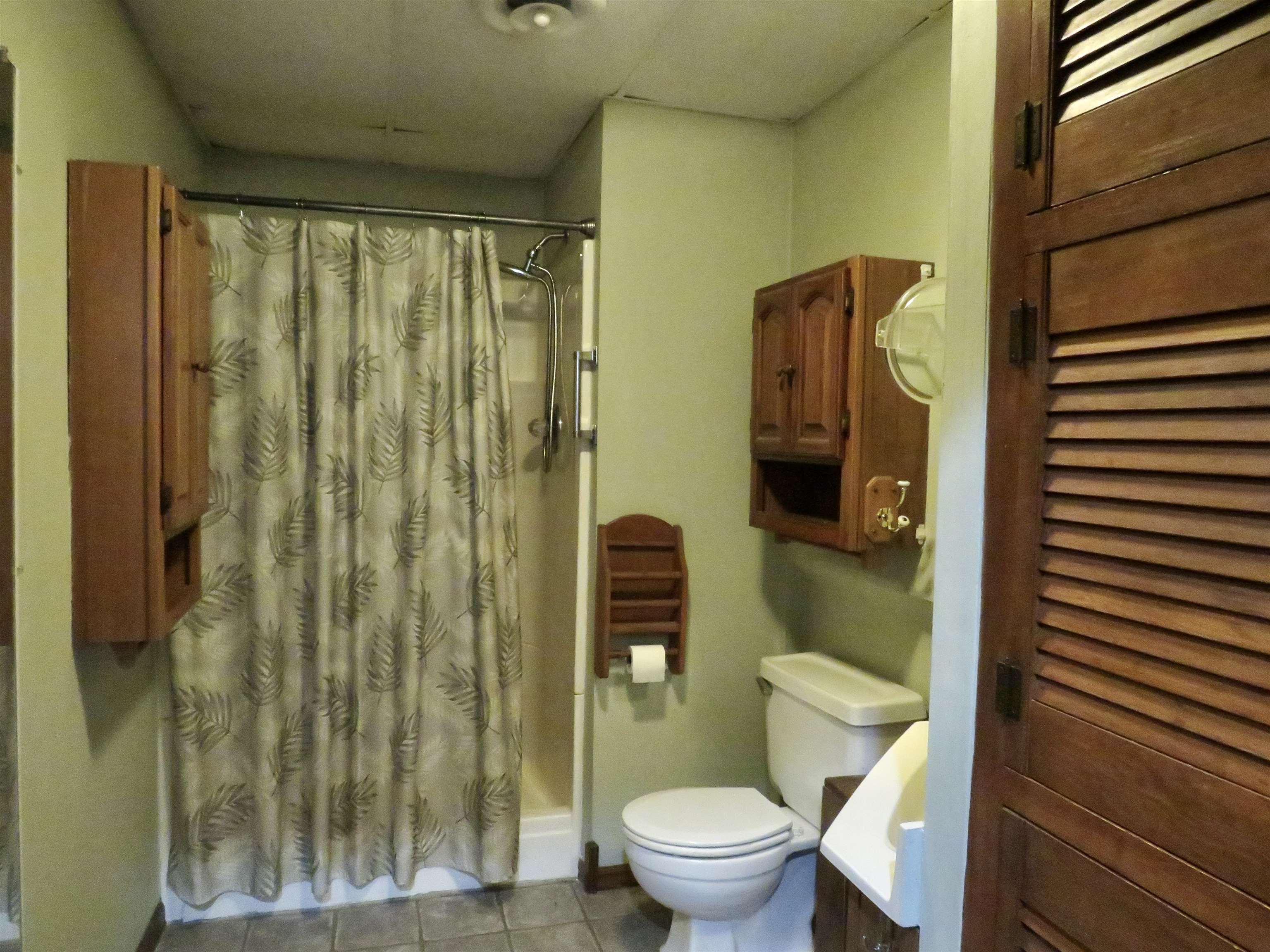 1139 Highway 20 Elizabeth, IL 61028 - Photo 36 of 88 a bathroom with a toilet and a shower