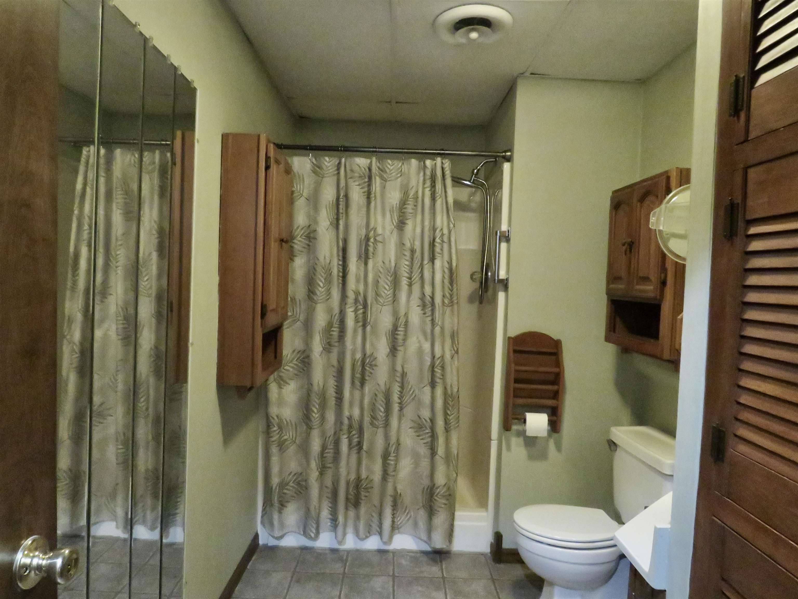 1139 Highway 20 Elizabeth, IL 61028 - Photo 37 of 88 a bathroom with a toilet and shower