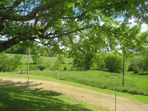 a backyard of a house with lots of green space and pathway