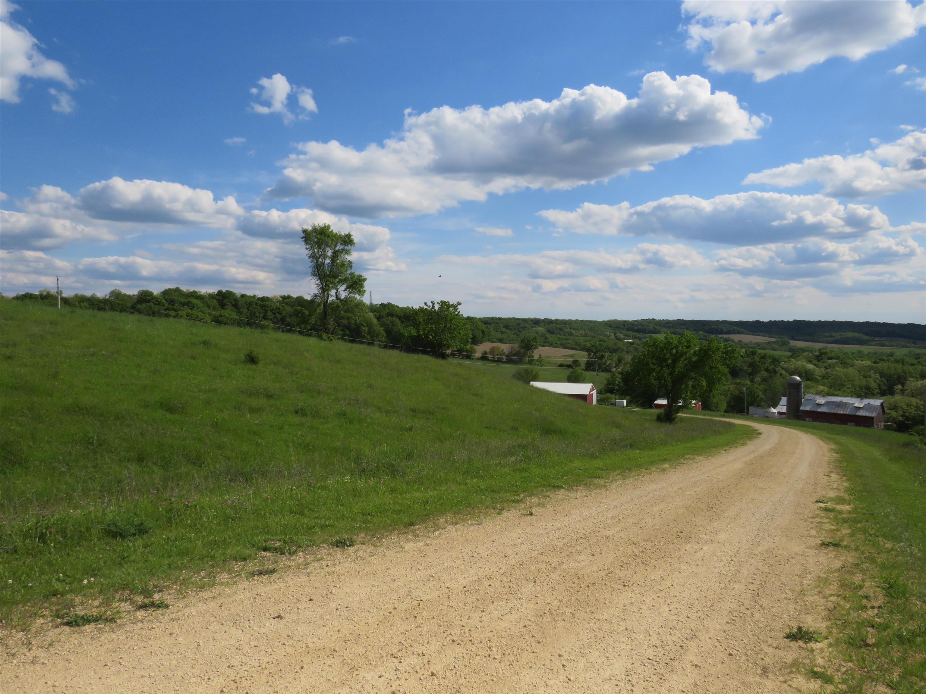 1139 Highway 20 Elizabeth, IL 61028 - Photo 4 of 88