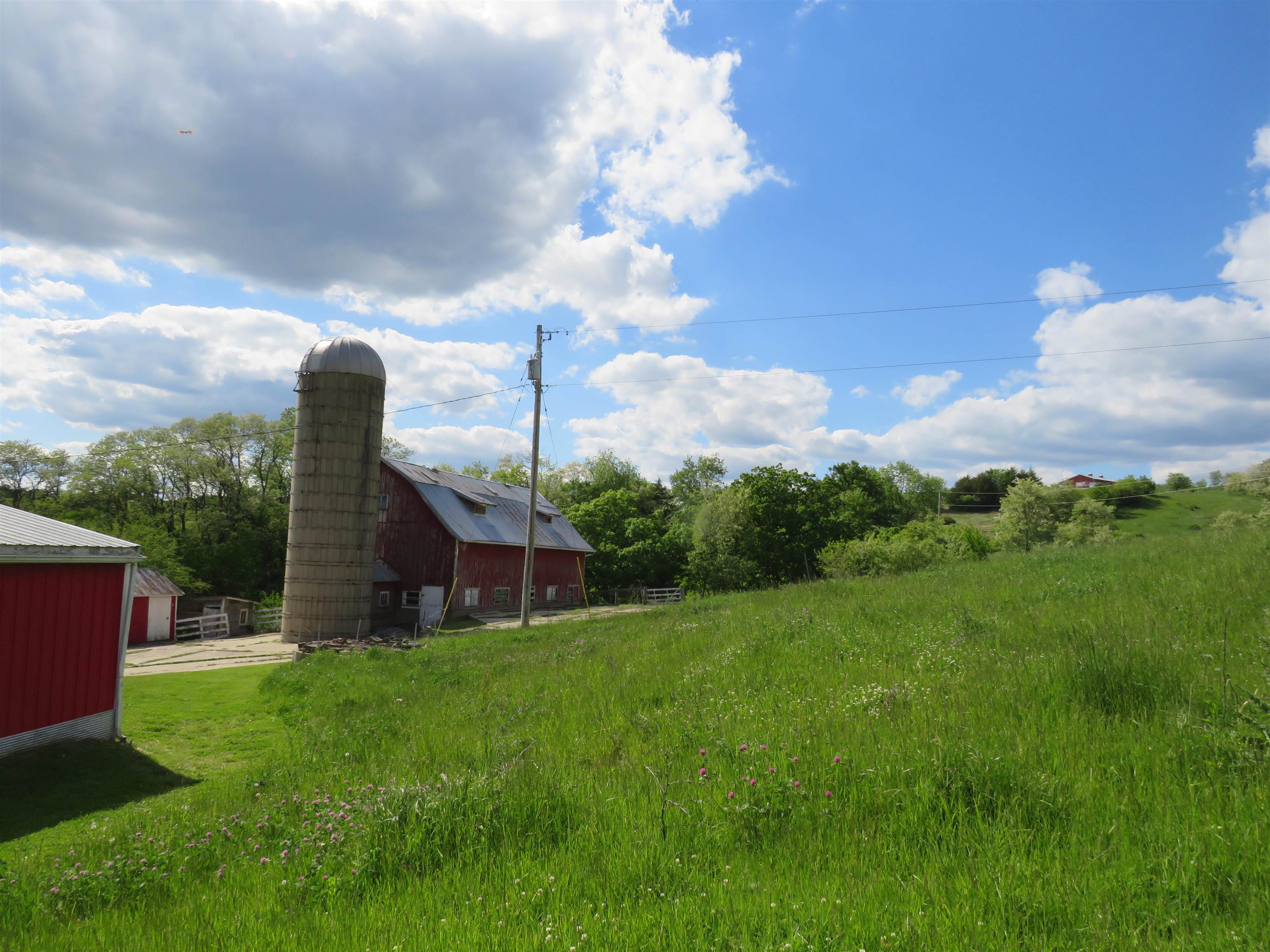 1139 Highway 20 Elizabeth, IL 61028 - Photo 58 of 88 a view of a house with a big yard and a large tree